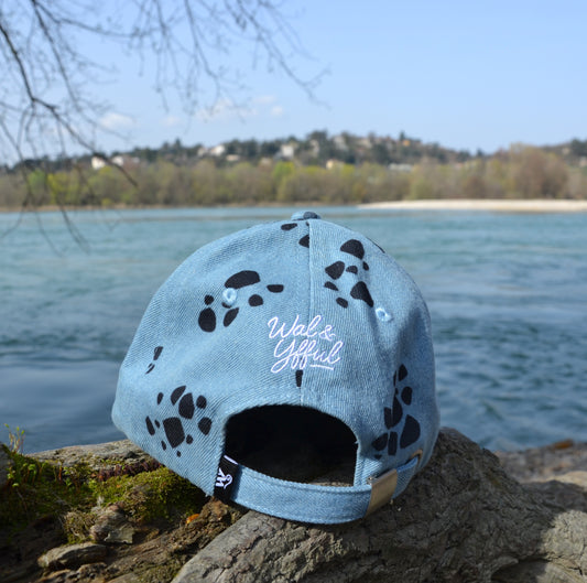 Trafalgar Law cap 003