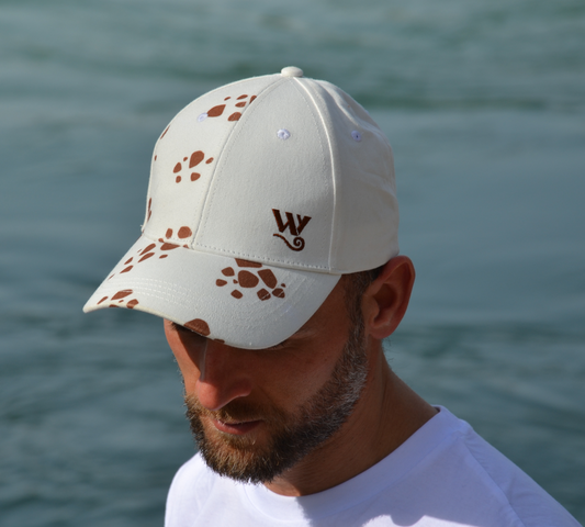 Trafalgar Law cap 009