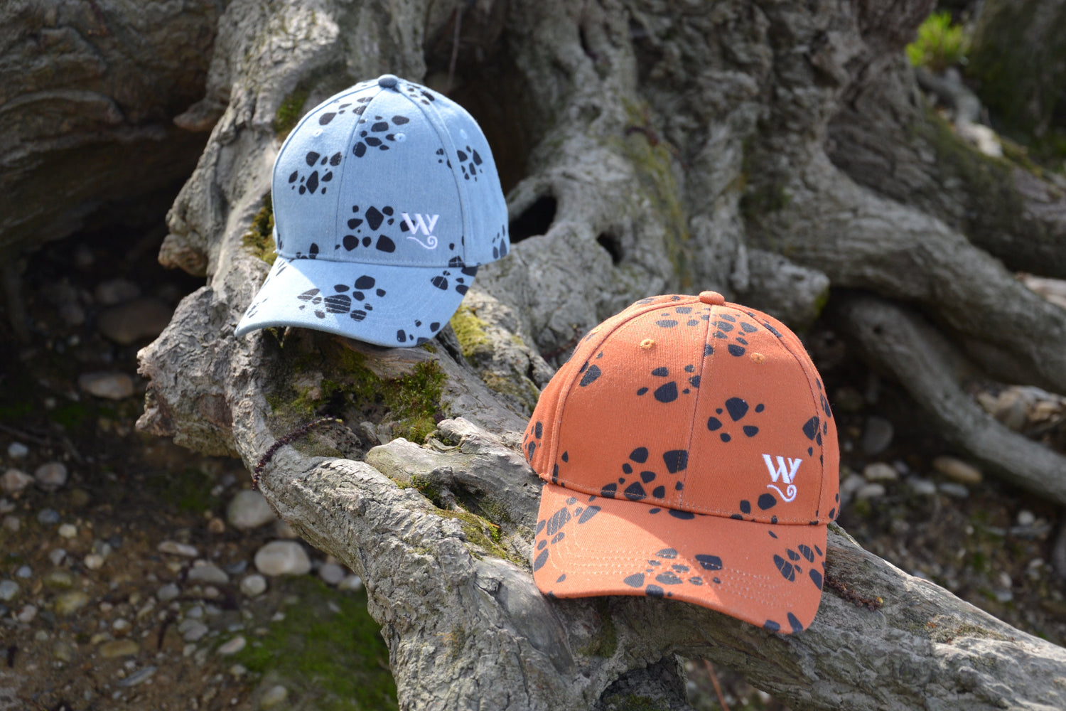 Casquette Trafalgar Law