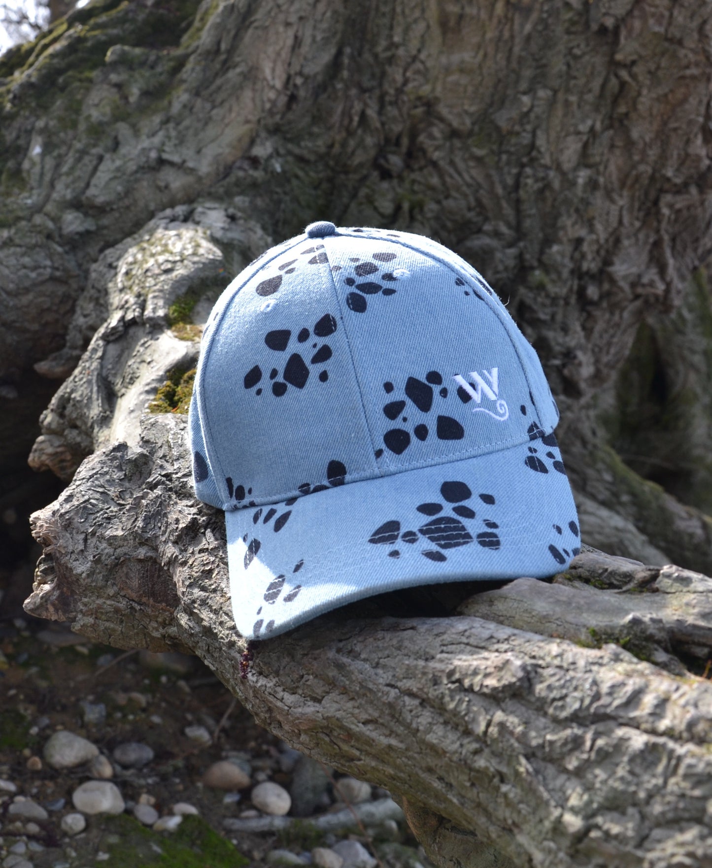 Trafalgar Law cap 001