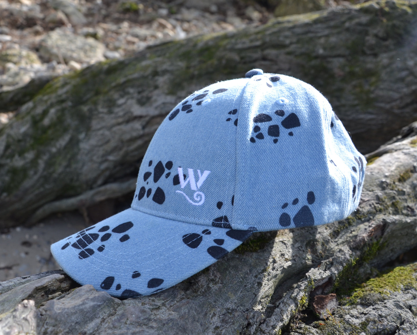 Trafalgar Law cap 006