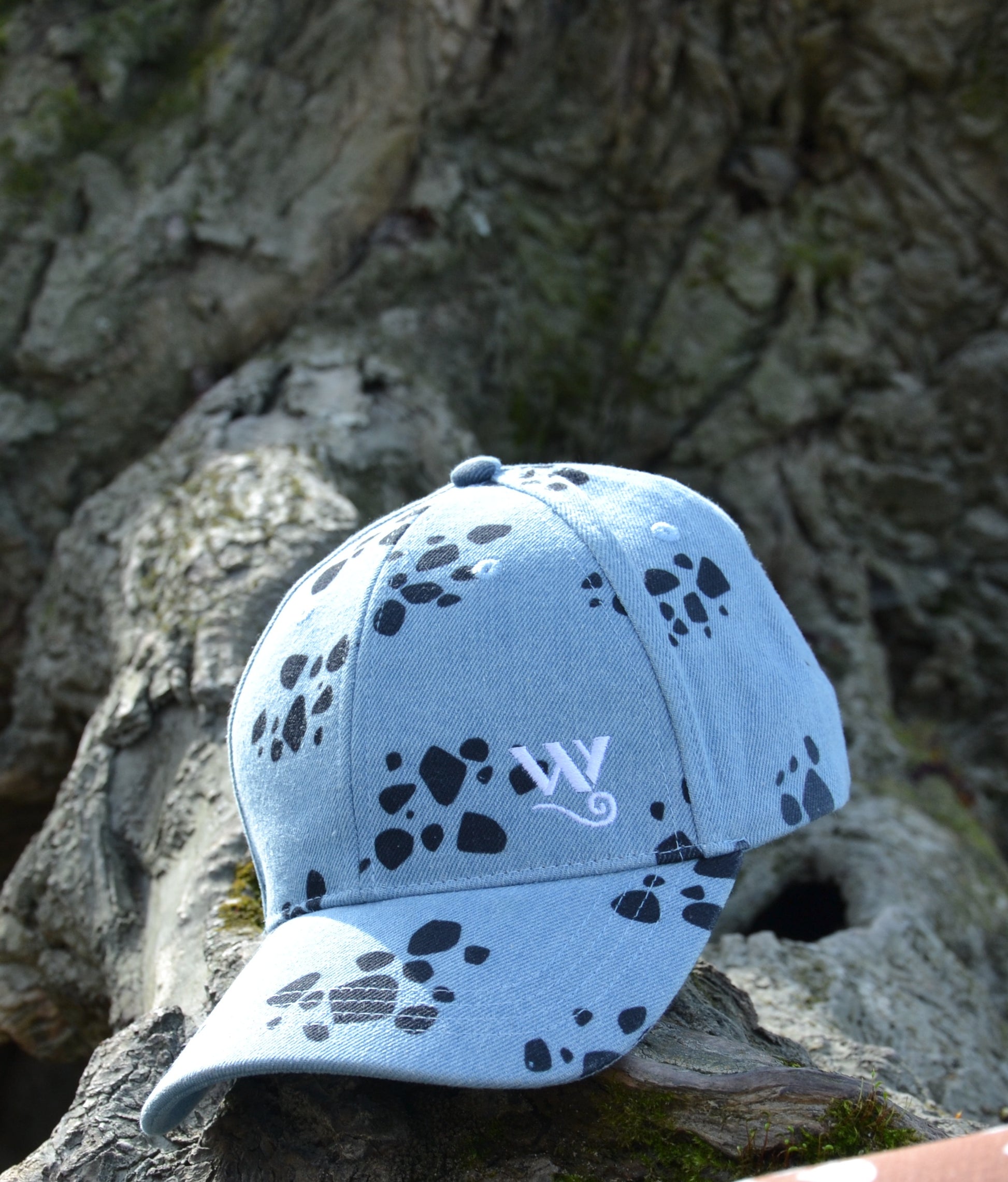 Trafalgar Law cap 007