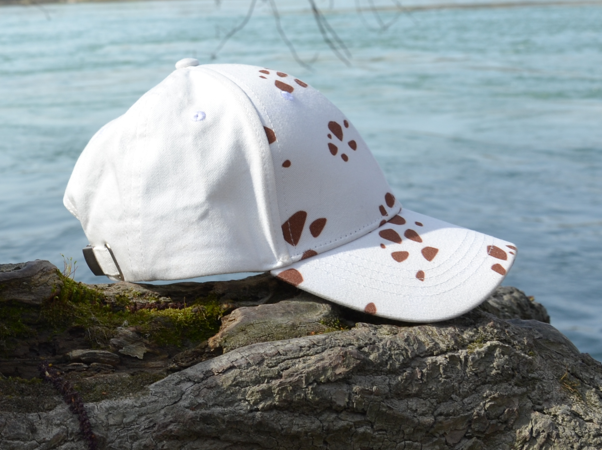 Trafalgar Law cap 011